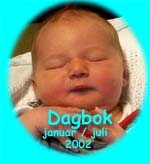 Trykk her for å lese i dagboka mi for januar - juli 2002, her er det også masse bilder...